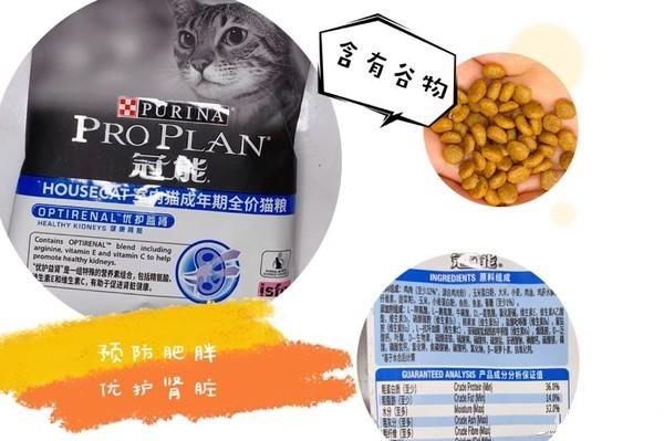 测评养猫,排名前十的猫粮养猫必看