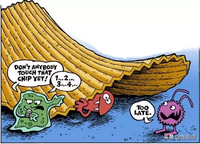 脑壳疼，薯片掉地上到底还能不能吃？