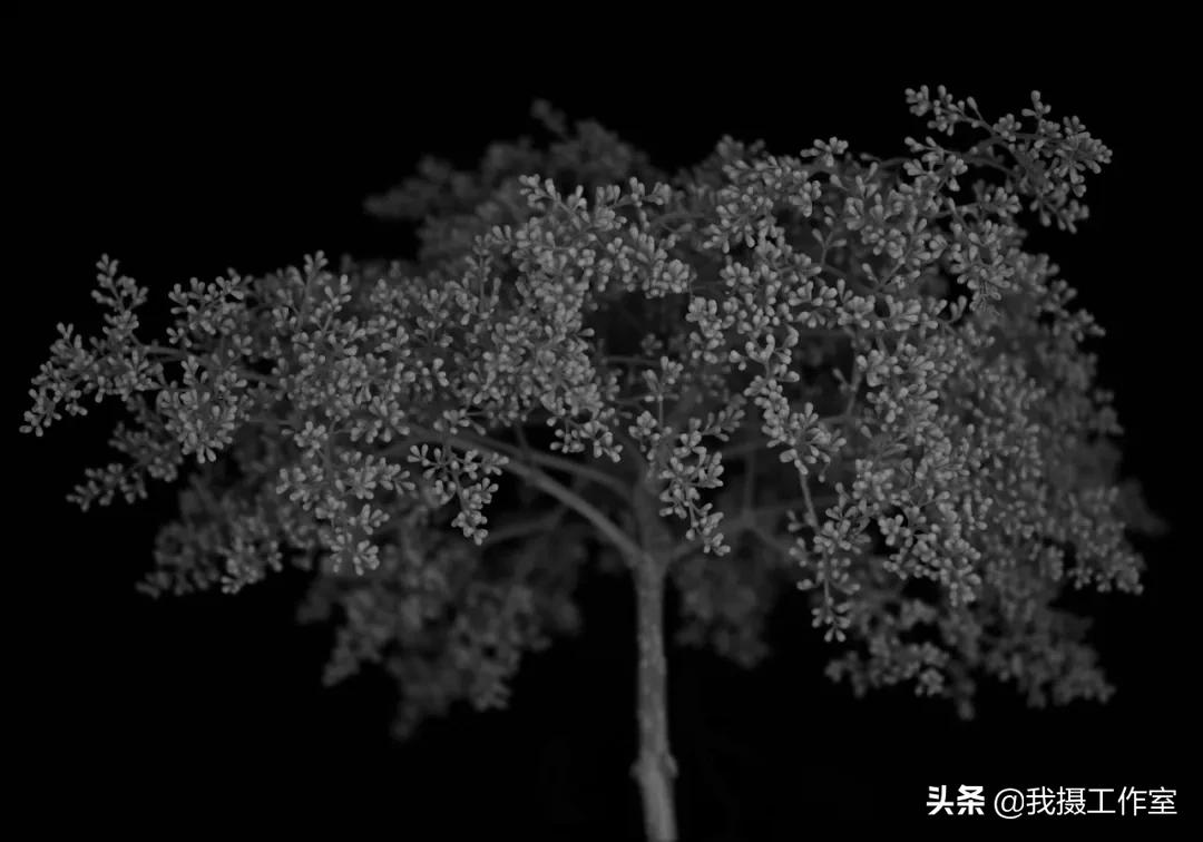 第16届国际摄影艺术展获奖作品,第29届全国摄影艺术展览作品集