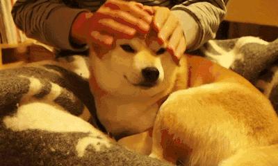 重口味慎入！美女玩起了大肉虫子，竟盘得又红又亮！