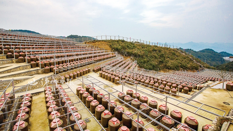 我市坚定不移抓招商决胜四季度,泸州市2024招商引资大项目