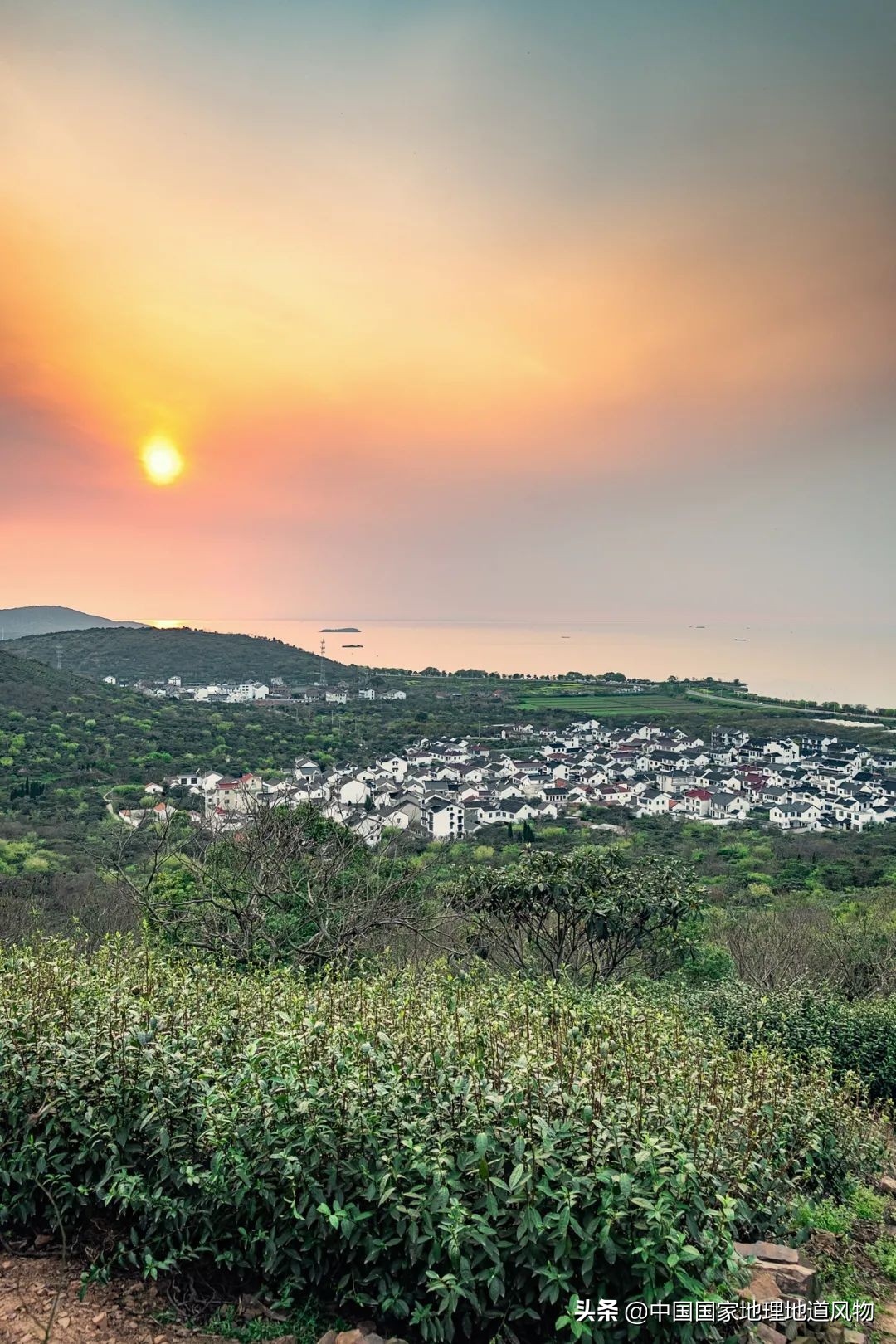 中国茶叶分布图,中国茶区详细分布图