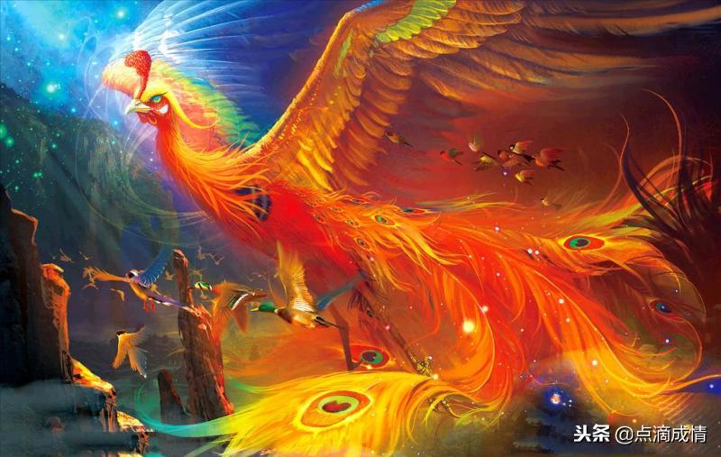 世界上真的有凤凰吗真实视频,世界上真的有凤凰视频吗