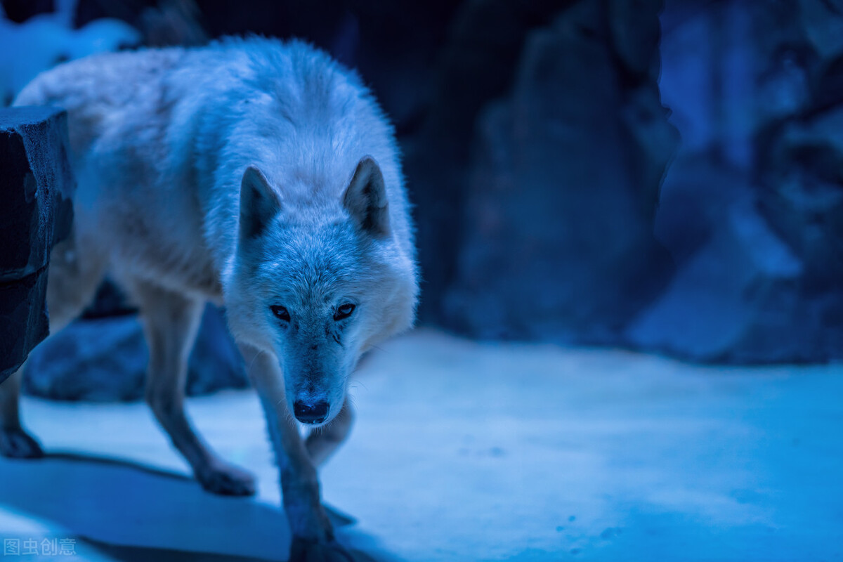 极度恐慌全集,极度恐慌真实事件