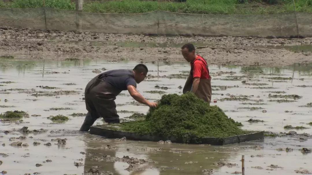 自己跑市场做点生意,隐秘的商机