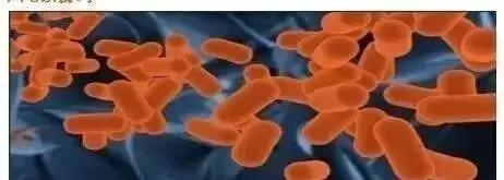 益生菌别瞎吃这3点很重要,益生菌不是生病才吃的