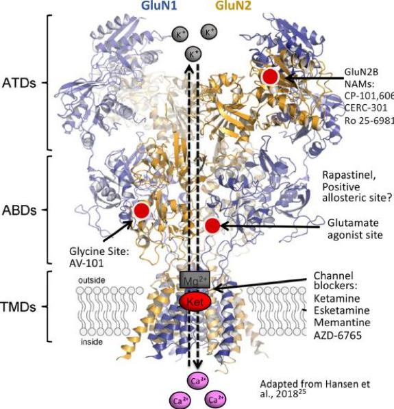 氯醛酮治疗抑郁症的作用机理,抗抑郁药的发展过程