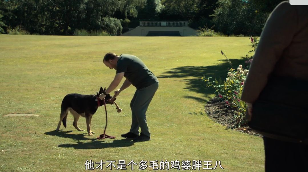 要不是最后一集太治愈,我会给它满分