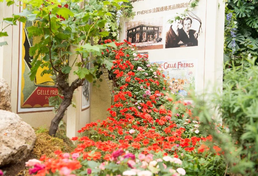 你有一个本周末蛋糕DIY名额待领取，用手作的甜蜜为爱告白吧