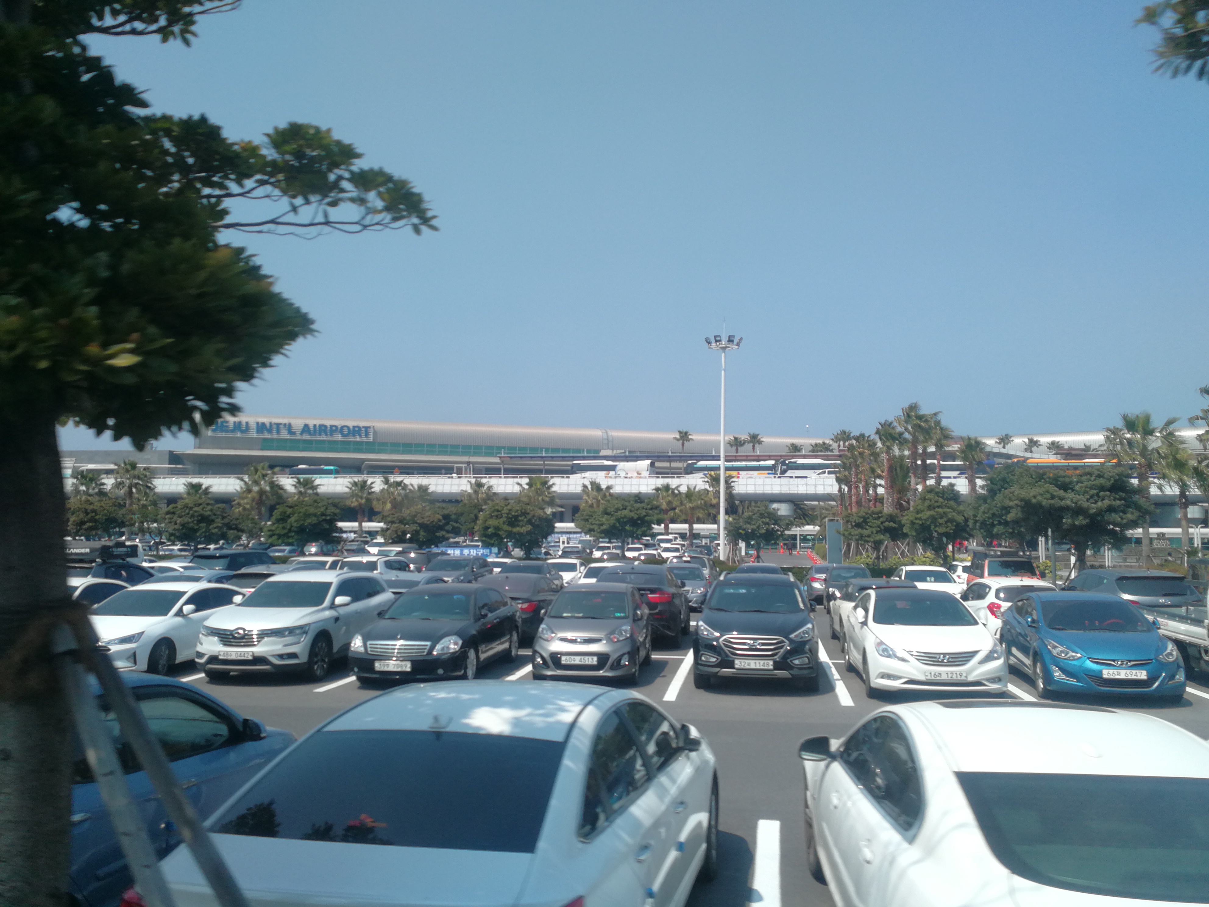 看一看济州岛上的汽车，你就明白韩国国民对本土汽车品牌的热爱