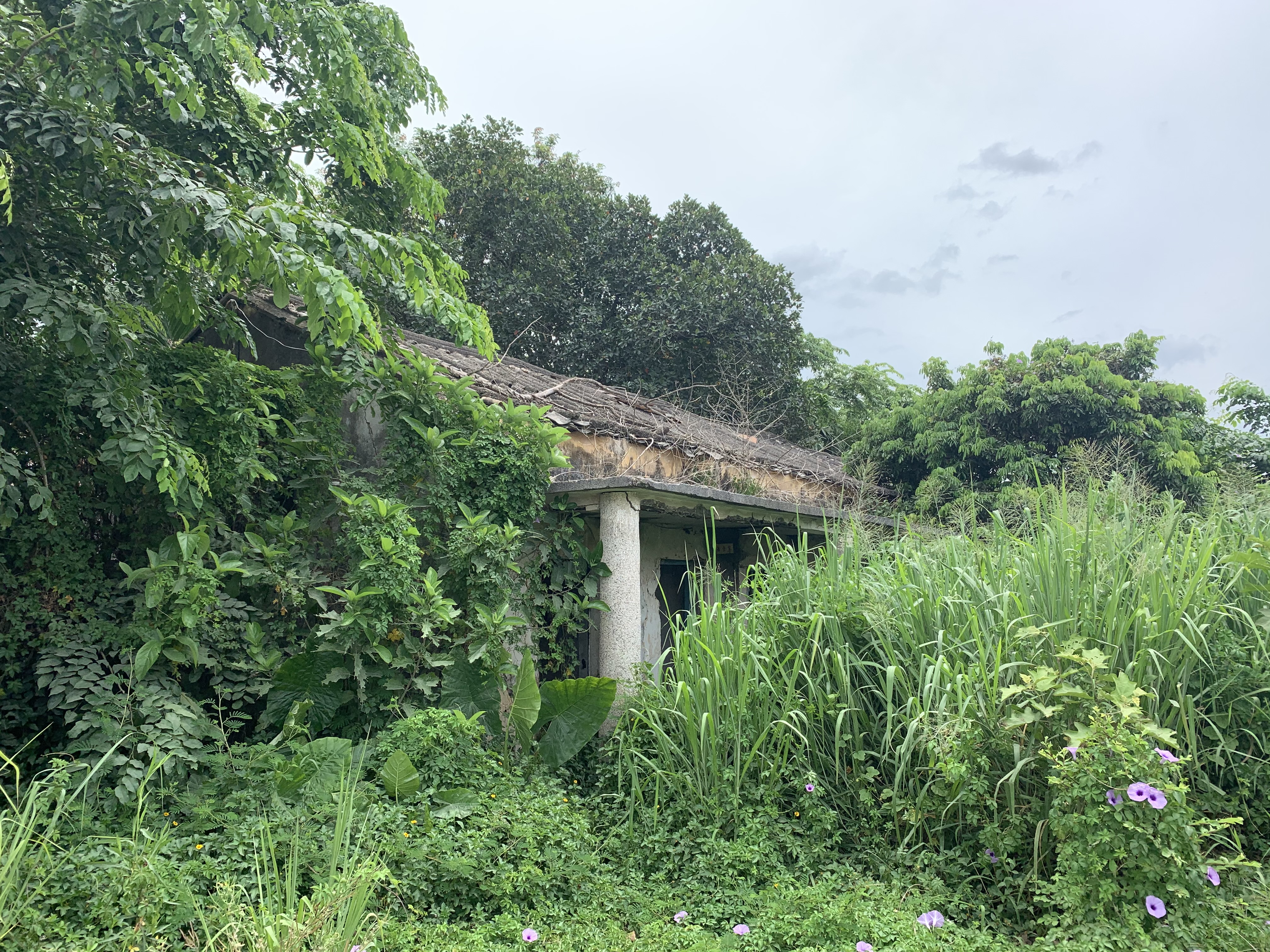 屯昌羊角岭水晶矿现在还能去吗,海南水晶矿遗址