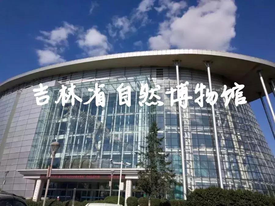 今天,世界各地的人将纷纷涌入长春!只为这个...