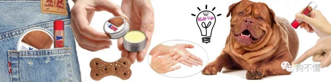 狗腿上有老茧？都是主人的祸