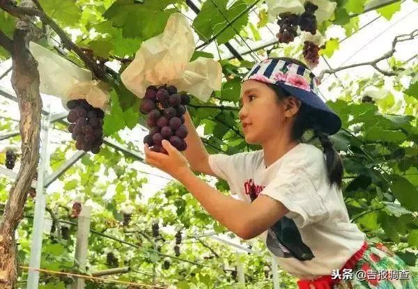 有关如何实现乡村振兴的范文,如何使自己家乡实现乡村振兴目标