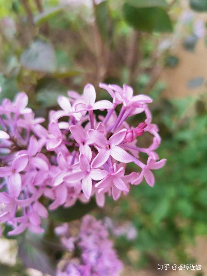 在大连生活怎么样,在大连生活十年是什么体验