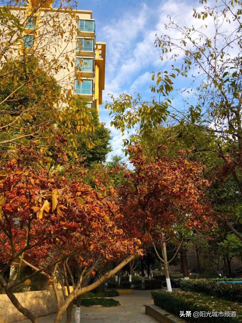 仁恒楼盘最新房价,仁恒楼盘值不值得买