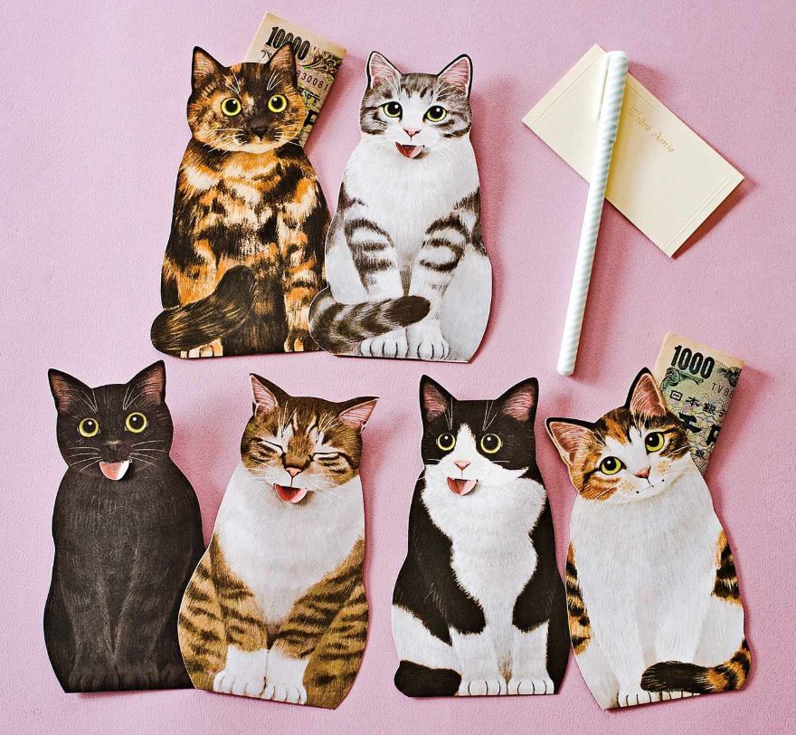 日本人又来骗猫奴们的钱啦!但我心甘情愿掏钱了!