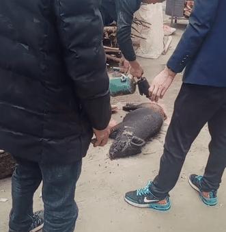 女生第一次脱毛应该怎么做,女生用的最多的脱毛方法