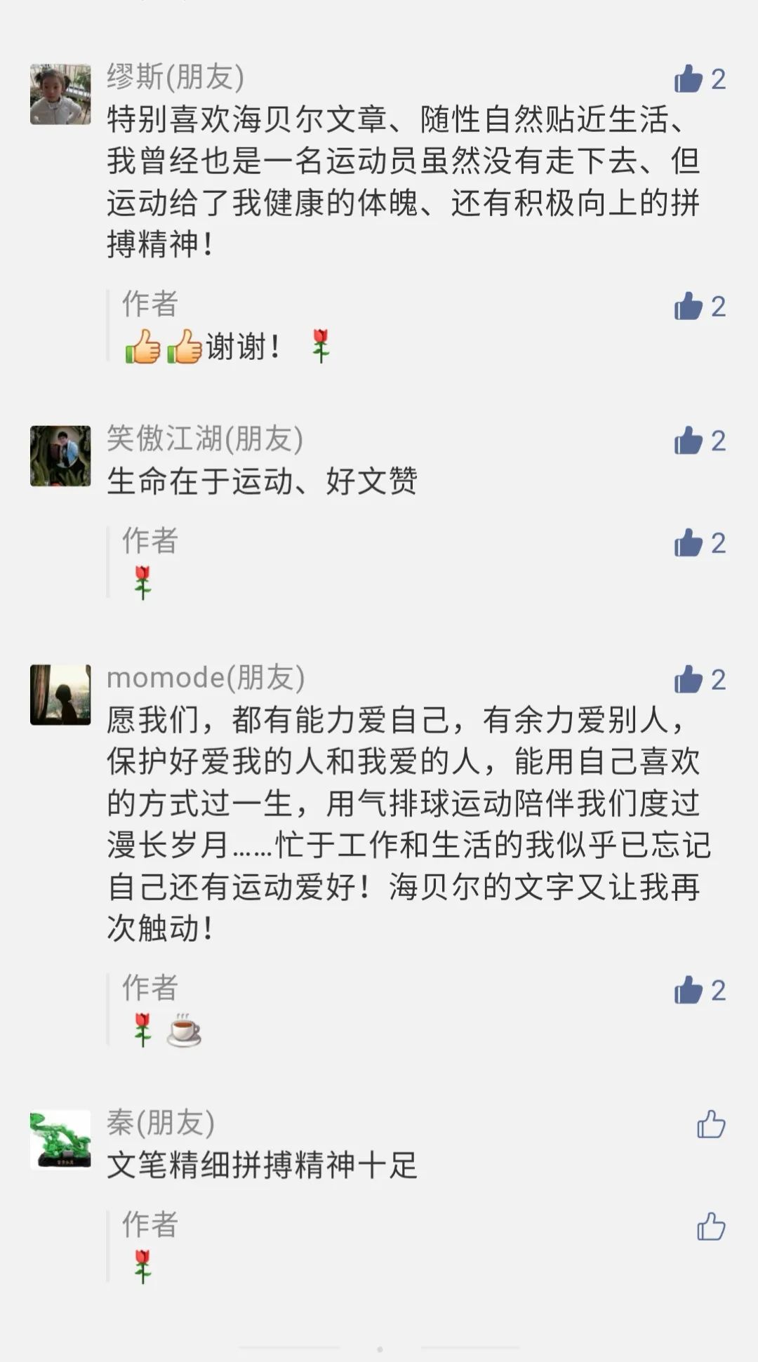 排球队的精神,排球队