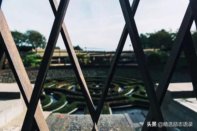 渡人渡己渡众生修身修心修自己,渡人渡己句子