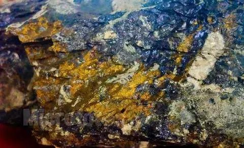 会阅读的书,鲁迅读书的方法