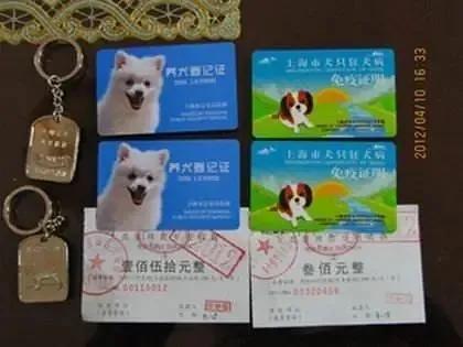 有了这个证,必要的时候可以救狗狗一命