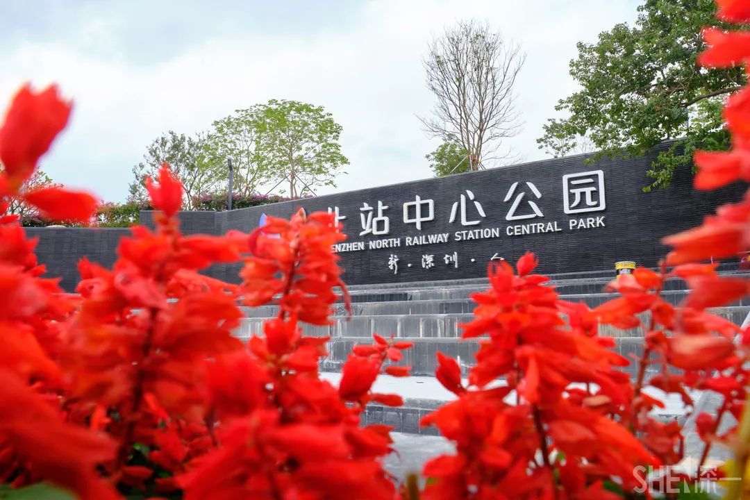 龙华新公园在哪里,深圳龙华区免费的公园