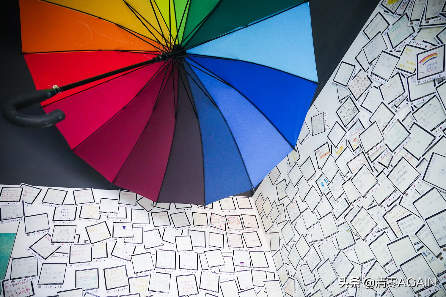 挖掘网红地x另类打卡挪亚方舟的文青路线