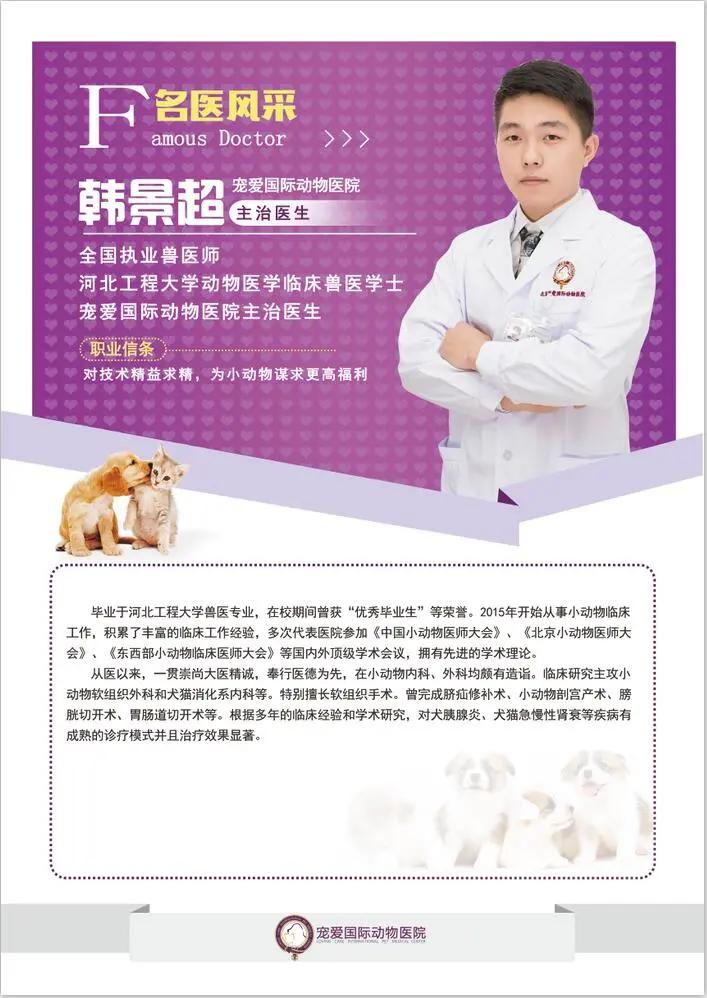 狗狗异物划伤肠道症状,狗狗吃什么润滑肠道利于异物排出