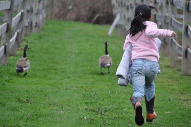 孩子喜欢夹腿、摩擦*体下**，除了些行为，家长还要注意以下几点