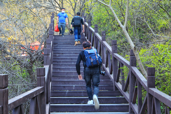 春游江淮请你来滁州版,春游江淮等您来