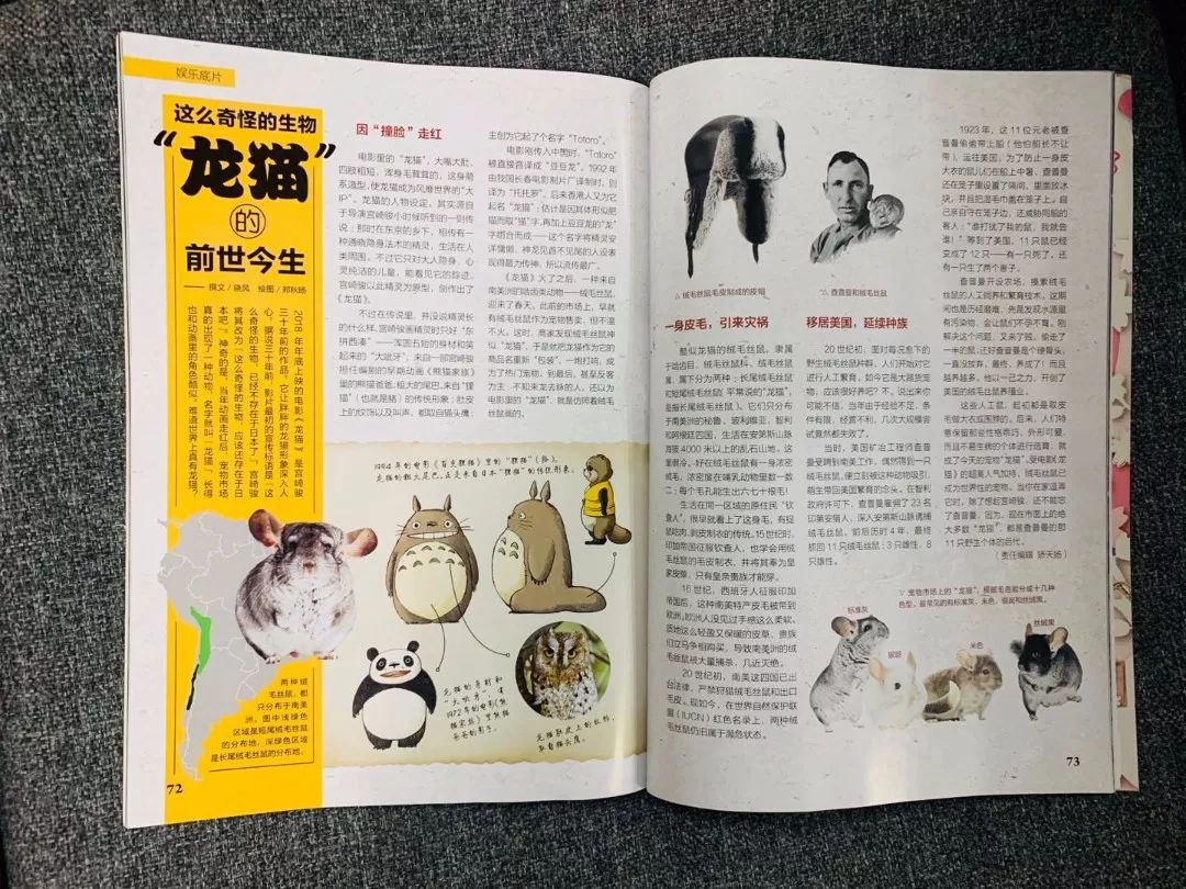 班主任推荐订的杂志，有些真是“一言难尽”|儿童杂志亲测