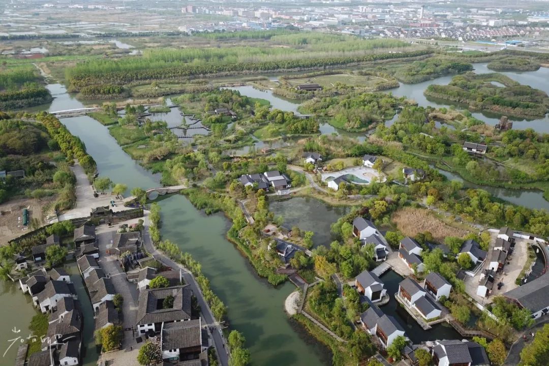 三月赏花一日游上海景点,本月上海赏花一日游最佳去处