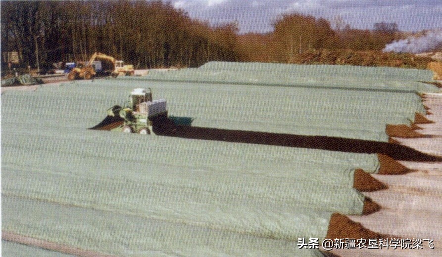 腐烂蔬菜怎么做肥料,腐烂的果蔬怎么做肥料