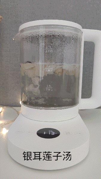 米家多功能养生壶,米家多功能电煮壶和养生壶的区别