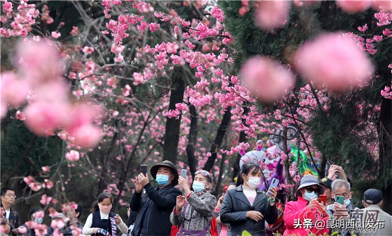 怎样成为云南人,怎样才能成为你想成为的人