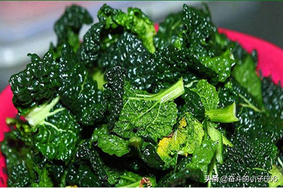 湖北省咸宁市有哪些特产,湖北省洪湖北市最新特产