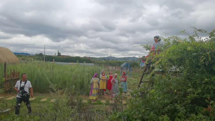 贵州蓬莱仙界旅游攻略,白云区蓬莱仙界景点介绍