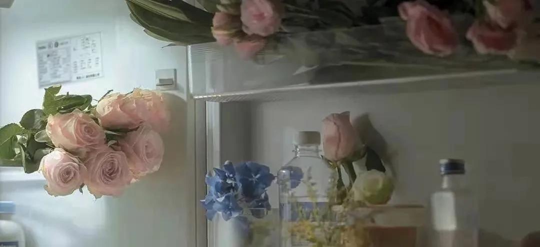 211大学迷茫怎么解决,大学学习难压力大怎么办啊