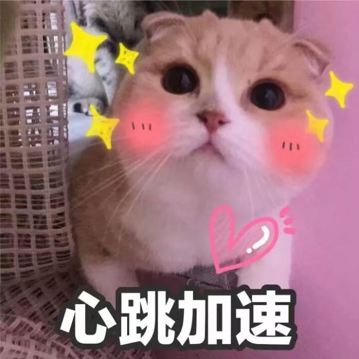 测评全网100款最火面膜,最新面膜排行榜10强