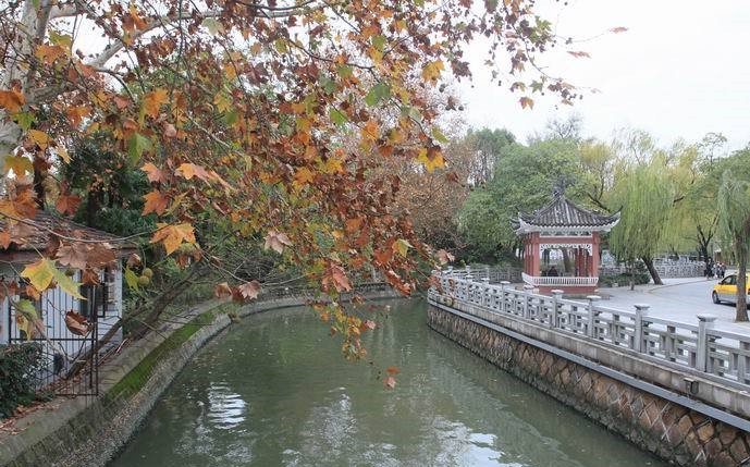 雨后的公园空气清新心情舒畅,雨后的公园清新亮丽