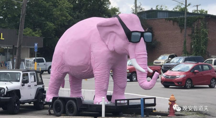 调酒小记03：三百磅的总统爱喝可以看到粉色大象的调酒？