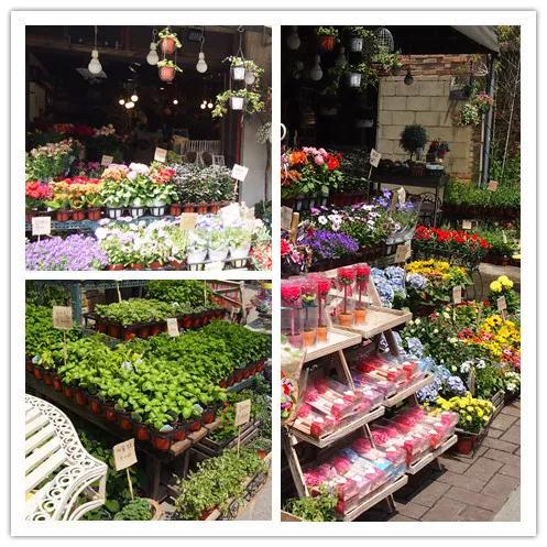 韩国首尔自由行攻略详细,韩国攻略首尔自由行