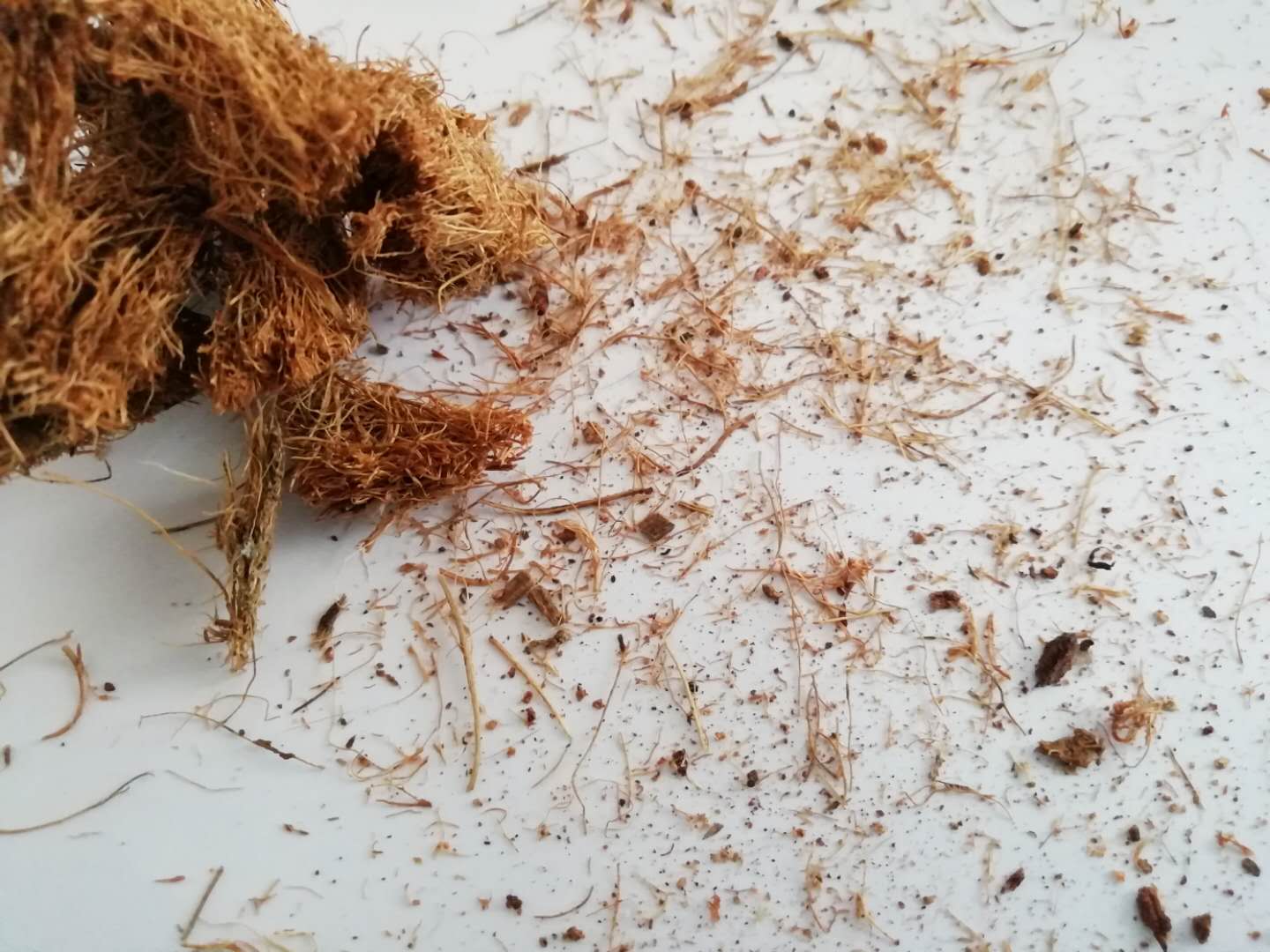 床垫棕垫好还是棕棉垫好,什么品牌的棕床垫质量最好