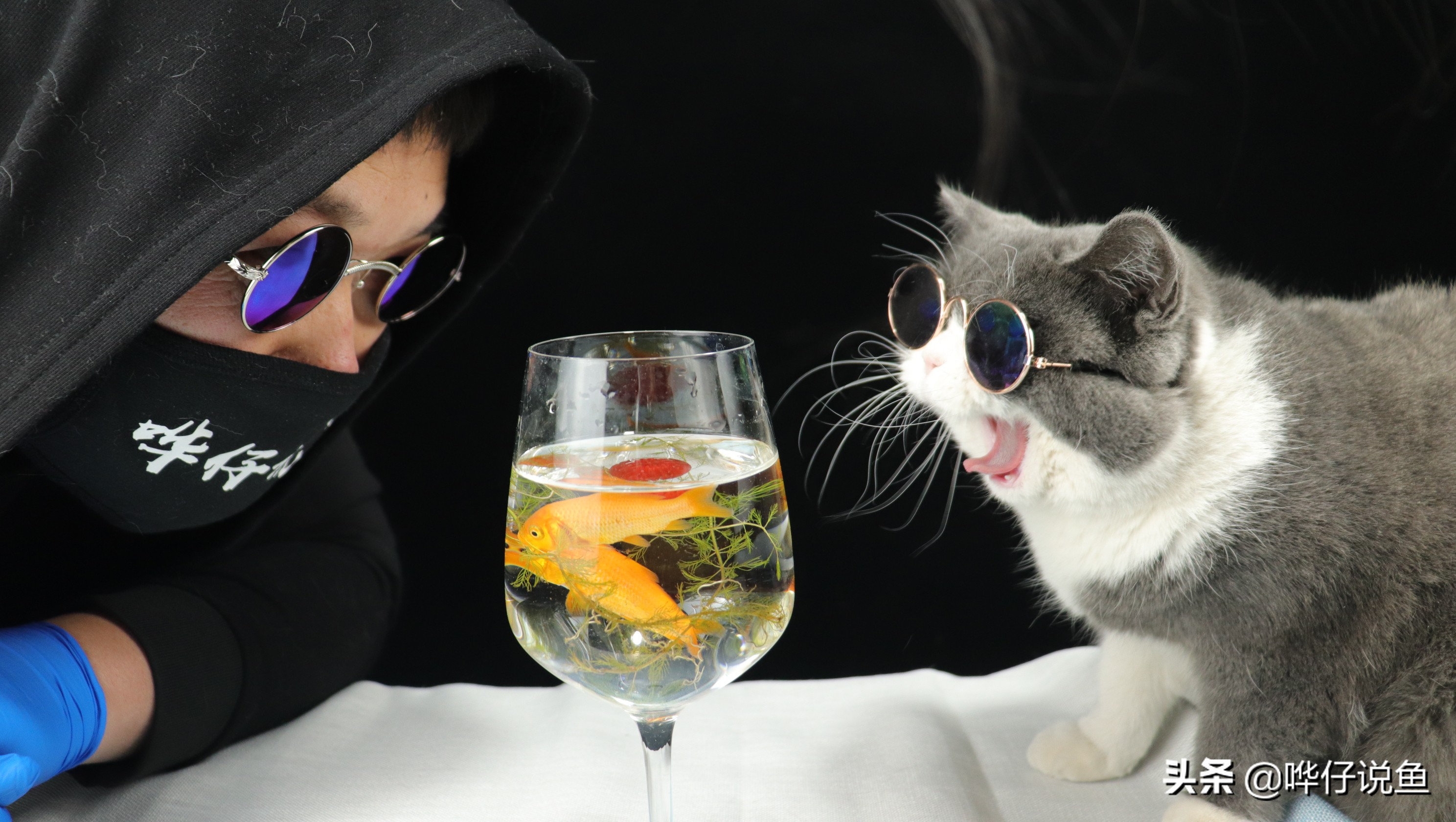 鱼缸里倒酸奶有用吗,鱼缸里倒饮料会怎样