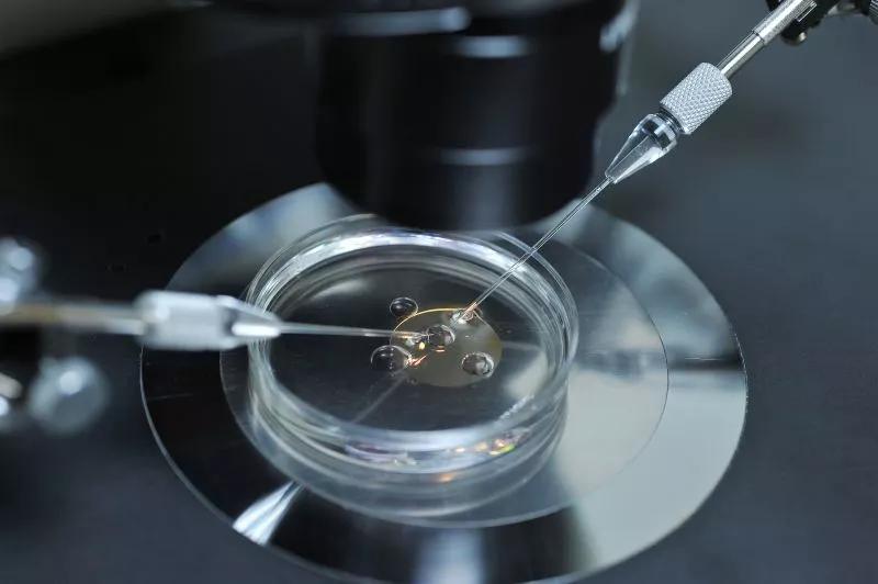 试管解密——精子卵子如何在医生巧手下受精？