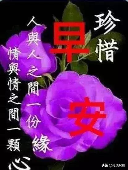 每天问候早上好祝福语短句,早上好祝福问候语大全简短暖心