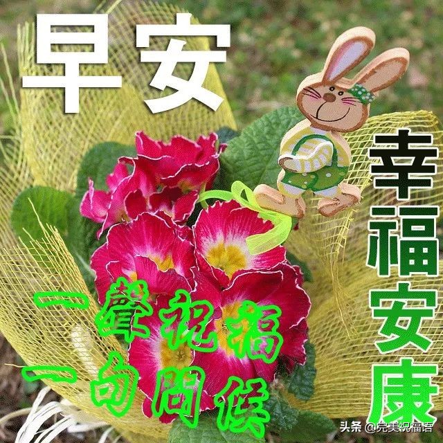 最新的早上好问候祝福语动态图,早上好祝福语会动的早上好图片