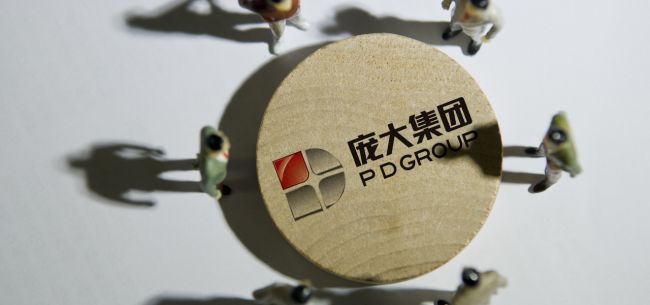 庞大集团重整投资人财务状况,庞大集团最新重组