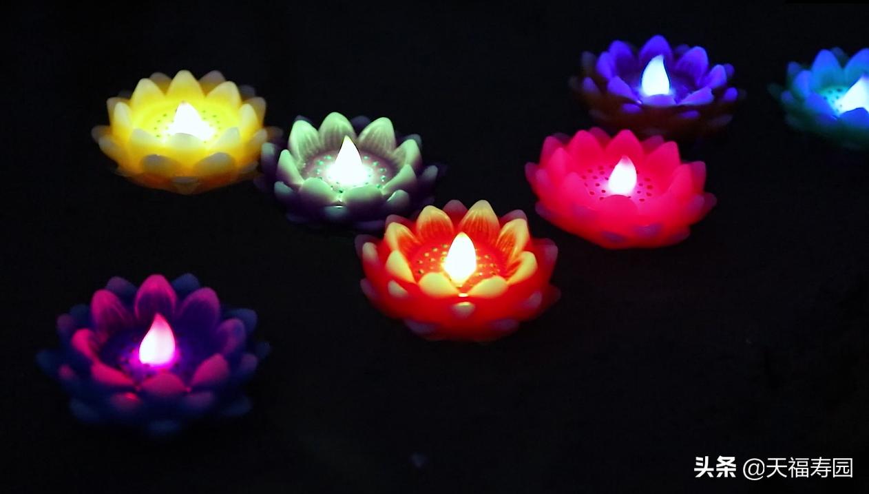 莲花灯什么说法,莲花灯来源是什么